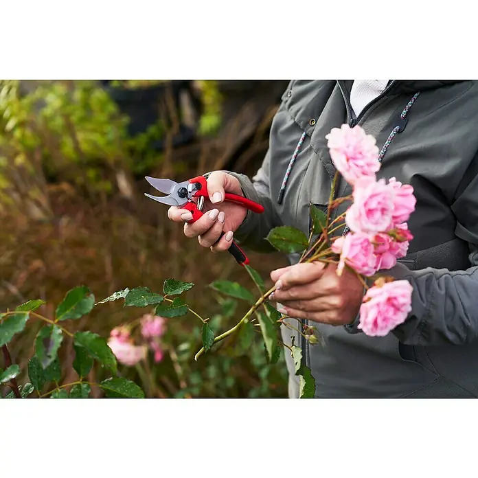 Felco Gartenschere 171M - Mittel - Max. Aststärke: 20 mm - Frau schneidet mit einer roten Gartenschere Rosen im Garten, um die Blumen zu pflegen.