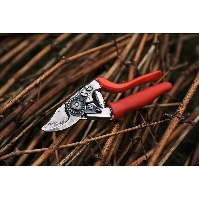 Felco Gartenschere 15 - Bypass - Gartenschere mit rotem Griff auf trockenen Ästen. Das Werkzeug ist scharf und bereit für den Einsatz im Garten.