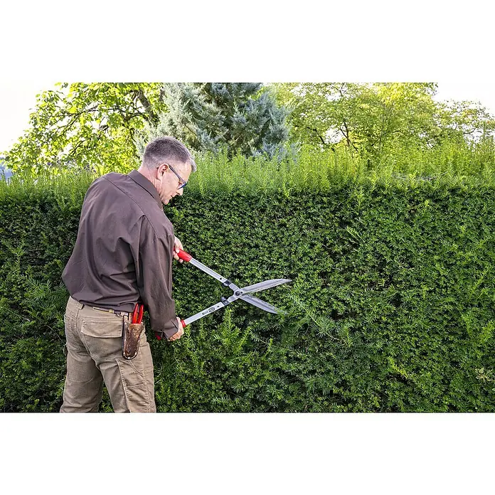 Felco Hand-Heckenschere 250-63 - L x B x H: 71 x 25 x 11 cm, Rot - Ein Mann mit einer Heckenschere, der eine dichte grüne Hecke stutzt. Präzise Gartengeräte für einen perfekten Schnitt im Garten.
