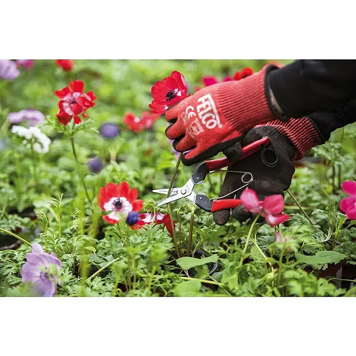 Felco Ernteschere 321 - Bypass - Eine Person schneidet Anemonen mit einer Felco Gartenschere, geschützt durch rote Felco-Handschuhe, in einem Blumenfeld.