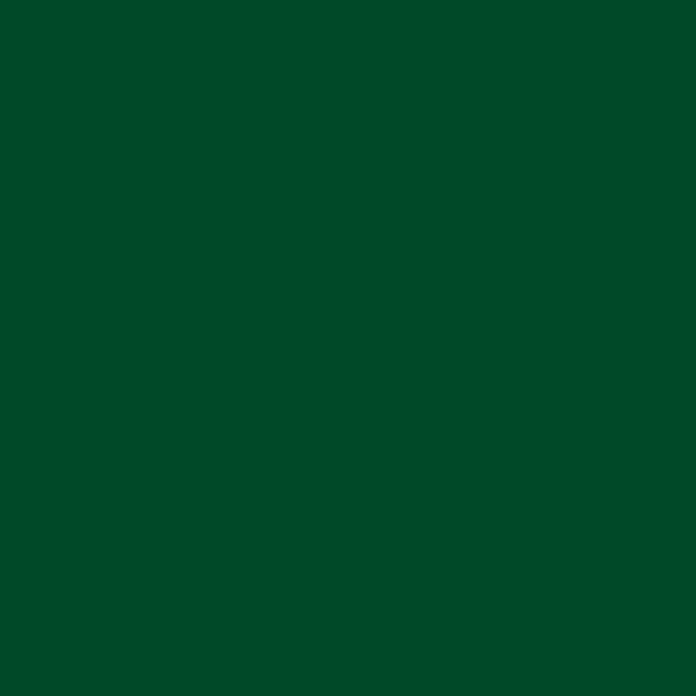 Consolan Wetterschutzfarbe (Moosgrün, Seidenglänzend, 2,5 l)