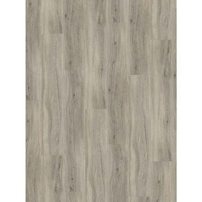 Parador Vinylbodenmuster Basic 30 Eiche pastellgrau Holzstruktur - 200 x 216 x 9,4 mm, Landhausdiele - Nahaufnahme eines Bodenbelags in Holzoptik mit feiner Maserung und hellgrauer Farbgebung, ideal für moderne Innenräume.