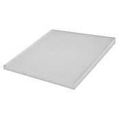 Večnamenska pena  (Do x Š: 40 x 40 cm) | 6473 - Schaumstoff ohne Zuschnitt | HDEB - Akustik/Schaumstoffe | HDE - Sonstige Ambiente | HD - Ambiente | H - Innendeko/Farben | BAUHAUS