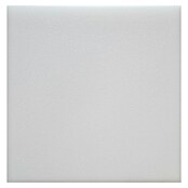 Večnamenska pena  (Do x Š: 40 x 40 cm) | 6473 - Schaumstoff ohne Zuschnitt | HDEB - Akustik/Schaumstoffe | HDE - Sonstige Ambiente | HD - Ambiente | H - Innendeko/Farben | BAUHAUS
