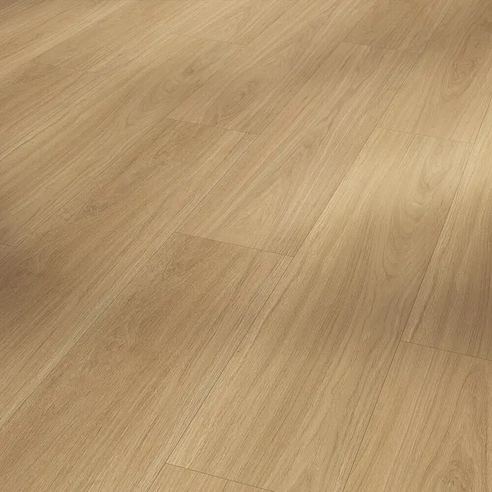 Parador Vinylbodenmuster Basic 5.3 - Eiche Oxford natur, 200 x 225 x 5,3 mm, Landhausdiele - Nahaufnahme eines Laminatbodens mit hellem Holzdekor, der eine warme und einladende Atmosphäre vermittelt. Die Oberfläche zeigt eine natürliche Maserung.