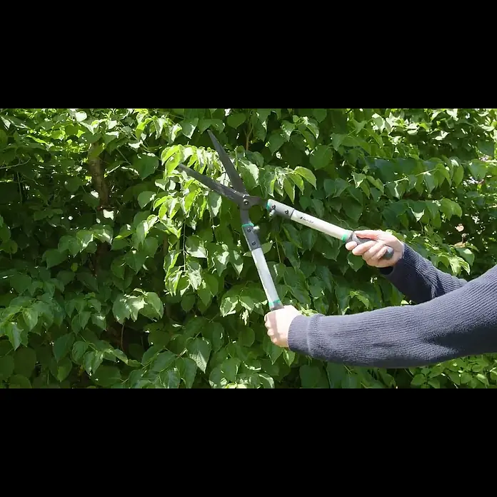 Gardol Comfort Hand-Heckenschere GDH65 - Länge: 3,4 cm - Gardol Comfort Heckenschere GDH65