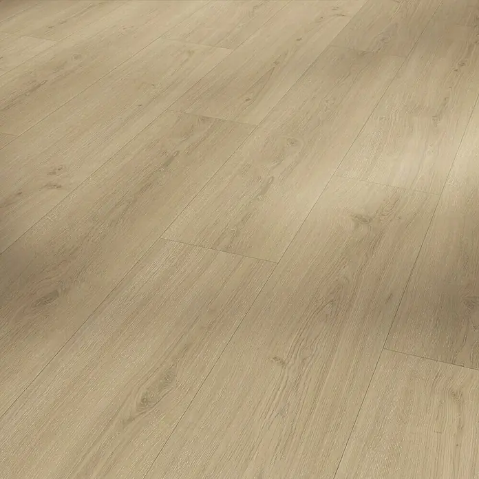 Parador Vinylboden Basic 5.3 - Eiche Regent beige, Landhausdiele, 1.209 x 225 x 5,3 mm - Nahaufnahme von hellem Laminatboden, der die natürliche Holzmaserung und Textur betont. Perfekt für moderne und gemütliche Innenräume.