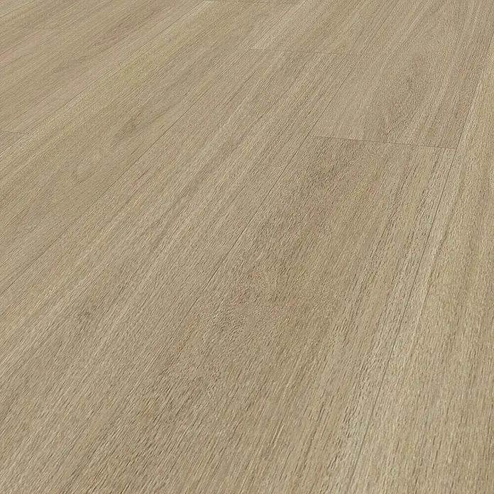 Parador Vinylboden Basic 5.3 - Eiche Oxford geschliffen, Landhausdiele, 1.209 x 225 x 5,3 mm - Nahaufnahme eines hellen Holzfußbodens mit einer subtilen Maserung. Das Bild zeigt die Details und die Textur des Laminatbodens.