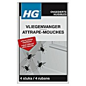 HG X Vliegenvangers (4 st.) | BAUHAUS