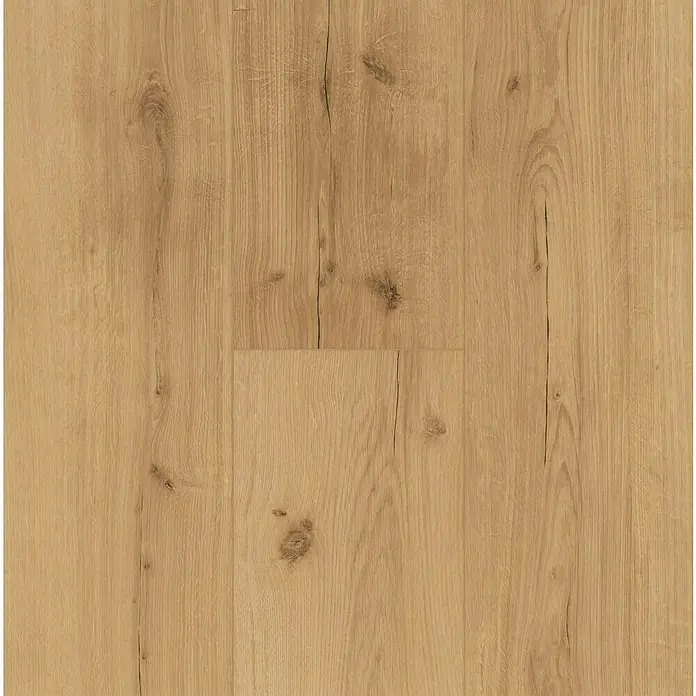Parador Vinylboden Basic 5.3 - Eiche Infinity natur, Landhausdiele, 1.209 x 225 x 5,3 mm - Detailaufnahme eines hellbraunen Laminatbodens mit natürlicher Holzmaserung und feinen Rissen für ein authentisches Aussehen.