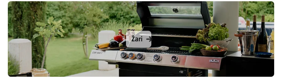 Žari