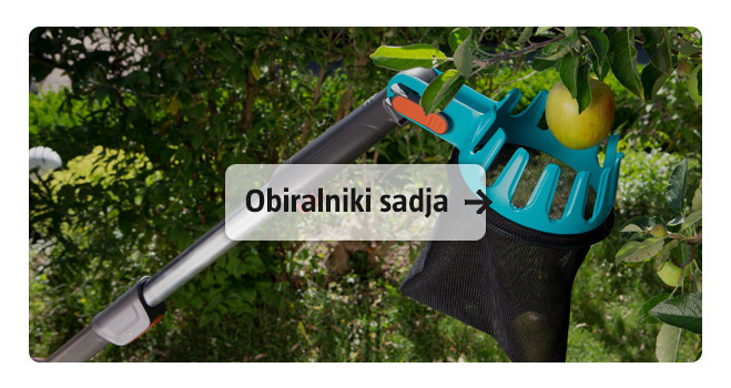 Obiralnik sadja