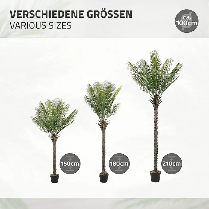 ML-Design Kunstpflanze Kunstpalme für Innen & Außen mit Echtem Moos - Blütenfarbe: Grün, Kunststoff - Verschiedene künstliche Dattelpalmen in unterschiedlichen Größen (150cm, 180cm, 210cm). Dekorative Kunstpflanzen für Innenräume.