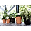 Elho Green Basics Maceta para planta (Diámetro: 21 cm, Plástico, Tono rojo)