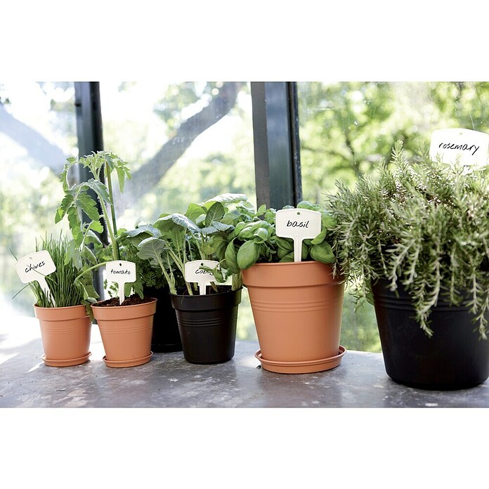 Elho Green Basics Maceta para planta (Diámetro: 24 cm, Plástico, Tono rojo)