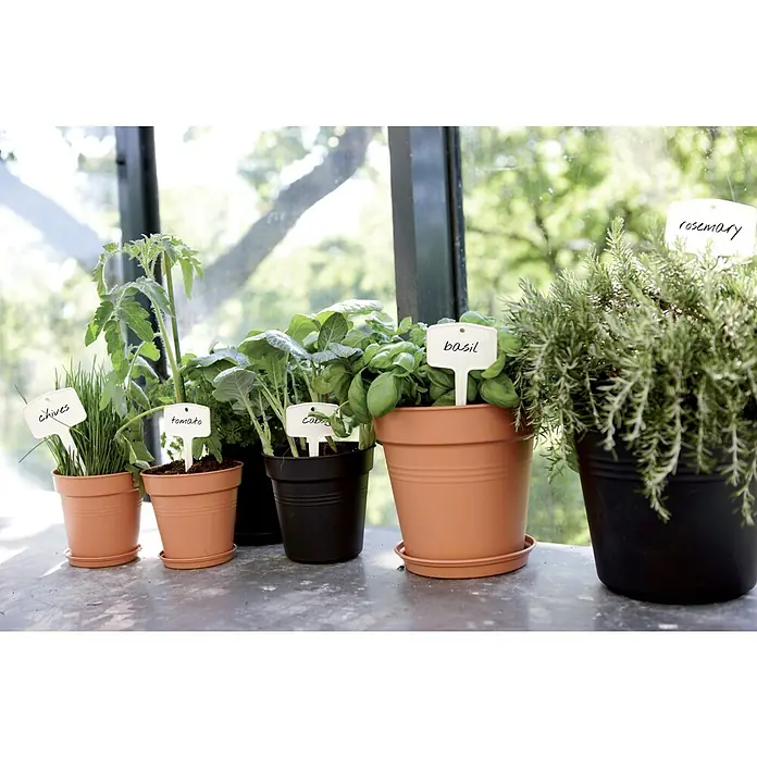 Elho Green Basics Maceta para planta + plato redondo - Dimensiones externas (Ø x Al): 27 x 25 cm, Plástico, Terracota - Una escena de jardín de hierbas muestra hierbas en macetas como cebollino, tomates y albahaca, cada una con etiquetas de jardín.