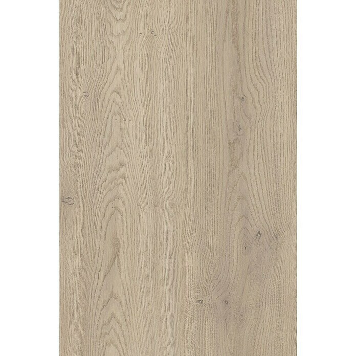 LOGOCLIC Edition Laminatmuster Twilight Oak (300 x 245 x 8 mm, Landhausdiele) | BAUHAUS