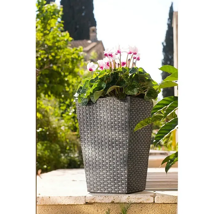 Keter Macetero para plantas Samui - Dimensiones externas (L x An x Al): 38 x 38 x 57 cm, Plástico, Marrón - Maceta gris con textura de mimbre y una planta floreciente, ubicada en el exterior sobre una cornisa de piedra.