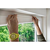 Schellenberg Fensterlüfter Plus Einzelpack (Weiß, 1 Stk.) | BAUHAUS