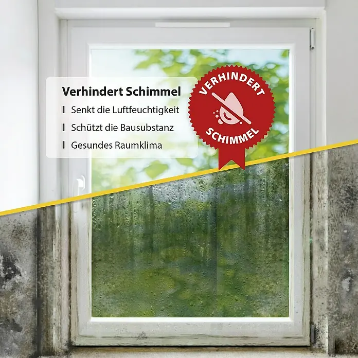 Schellenberg Fensterlüfter Plus Doppelpack - Weiß, 2 Stk. - Bild einer Fenstersituation, die den Unterschied zwischen einem Fenster mit und ohne Schimmelschutz zeigt.