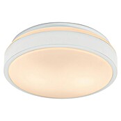 Osram Orbis Okrugla stropna LED svjetiljka Essential  (10 W, Ø x V: 28 x 9,5 cm, Bez izvora svjetlosti) | BAUHAUS