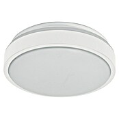 Osram Orbis Okrugla stropna LED svjetiljka Essential  (10 W, Ø x V: 28 x 9,5 cm, Bez izvora svjetlosti) | BAUHAUS