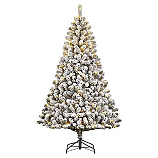 Black Box Trees Kunstkerstboom CHARLTON met LED (Hoogte: 185 cm, Groen frosted, LED-verlichting)