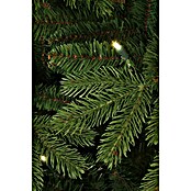Black Box Trees kerstboom Macallan (h185 x 127 cm