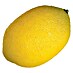 Figura decorativa Limón rugoso 