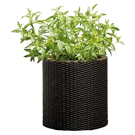 Keter  Maceta para planta Samui