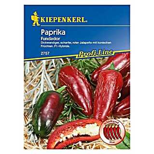 Kiepenkerl Profi-Line Gemüsesamen Jalapeño Fundador (Capsicum annuum, Erntezeit: August)