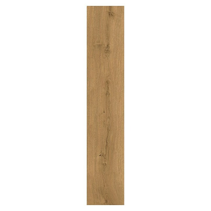 Podna vinilna obloga Rigid  (Selfoss, Rustikalni pod, 1.220 x 229 x 5,5 mm) | BAUHAUS