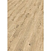 Egger Laminat Dunnington  (129,2 cm x 19,3 cm x 8 mm, Smeđa) | BAUHAUS
