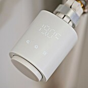 Osram Heizkörper-Thermostat 3 Stück (M30 x 1,5 mm, 1 Stk.) | BAUHAUS