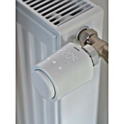 Osram Heizkörper-Thermostat 3 Stück (M30 x 1,5 mm, 1 Stk.) | BAUHAUS