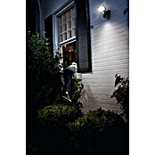 Osram LED-Außenwandleuchte (23 W, 20 x 19,7 x 26,2 cm, Dunkelgrau, IP44) | BAUHAUS