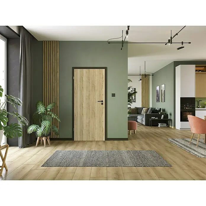 Classen PL Türzarge - 985 x 1.985 mm, Wandstärke: 260 mm, DIN Anschlag: Links, Uni Schwarz - Eine moderne Holztür mit dunklem Rahmen und einem stilvollen Griff, eingebettet in ein Zimmer mit grünen Wänden und Holzelementen.