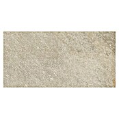 Corso Italia Feinsteinzeugfliese Stufe Regent (30 x 60 cm, Ivory, Unglasiert)
