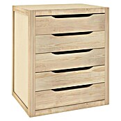 Astigarraga Cajonera Natura (L x An x Al: 30 x 39 x 45,8 cm, Número de cajones: 5 ud., Madera, Beige) | BAUHAUS