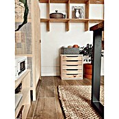 Astigarraga Cajonera Natura (L x An x Al: 30 x 39 x 45,8 cm, Número de cajones: 5 ud., Madera, Beige) | BAUHAUS