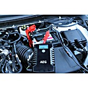 AEG Batterie-Ladegerät LD 4.0 (Geeignet für: Batterien 6/12 V, Autostart) | BAUHAUS