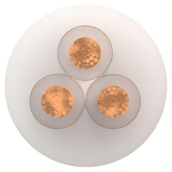 Schlauchleitung HEILIGHT (Anzahl Adern: 3 Stk., Aderquerschnitt: 0,75 mm², Transparent, 5 m) | BAUHAUS