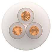 Schlauchleitung HEILIGHT (Anzahl Adern: 3 Stk., Aderquerschnitt: 0,75 mm², Transparent, 5 m) | BAUHAUS