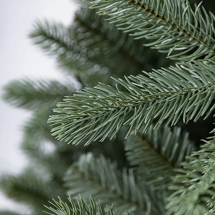 50 NRTH Künstlicher Weihnachtsbaum Vermont - Höhe: 210 cm, Grün, Standfuß - Nahaufnahme eines künstlichen Weihnachtsbaums mit blaugrünen Nadeln. Perfekt für eine festliche Dekoration in Ihrem Zuhause.