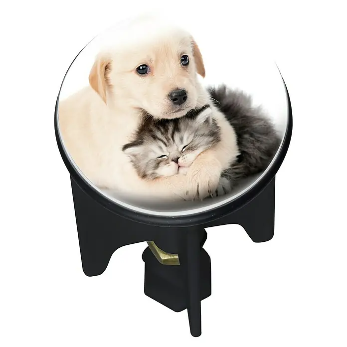 Wenko Design-Excenterstopfen - Frenemies, Durchmesser: 3,9 cm - Ein entzückender, runder Hocker mit einem Bild von einem kuscheligen Welpen und einer Katze. Ideal als Deko und bequeme Sitzgelegenheit.