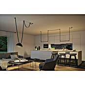 Paulmann ULine Trafo (60 W) | BAUHAUS