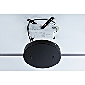 Paulmann ULine Dimmer (Weiß, 200 W) | BAUHAUS