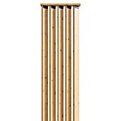 Radex Divisor de espacios (An x Al: 50 x 254 cm, Pino, Móvil) | BAUHAUS