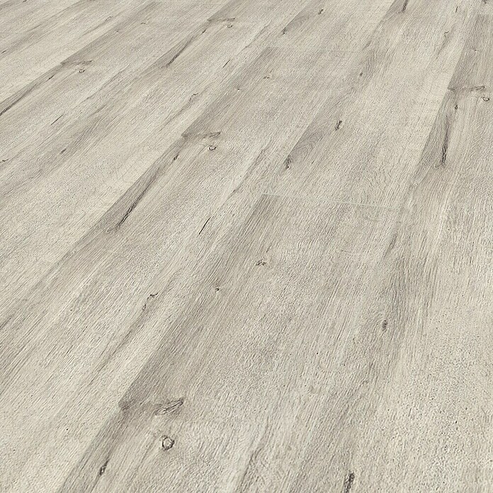 LOGOCLIC Ambienta Laminat Aurora (Aurora, Landhausdiele, 1 288 x 195 x 10 mm) | BAUHAUS