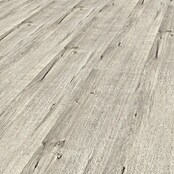 LOGOCLIC Ambienta Laminat Aurora (Aurora, Landhausdiele, 1 288 x 195 x 10 mm) | BAUHAUS